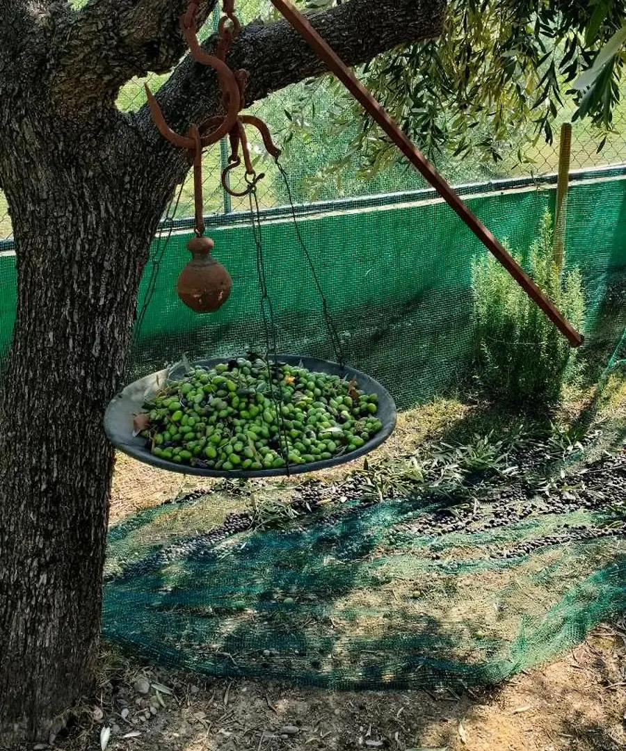 La Tenuta Di Eva Pisa