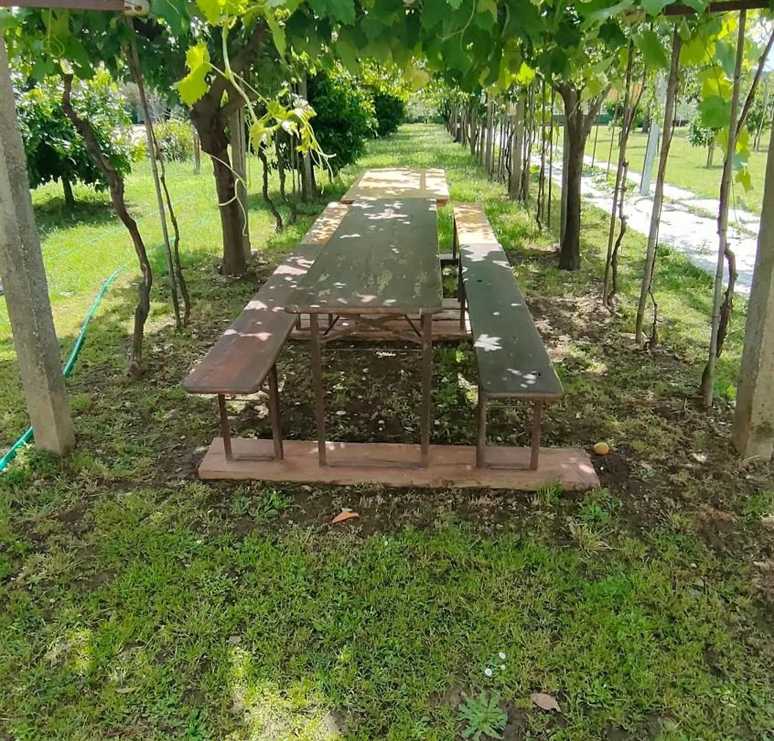 La Tenuta Di Eva Pisa Lägenhet