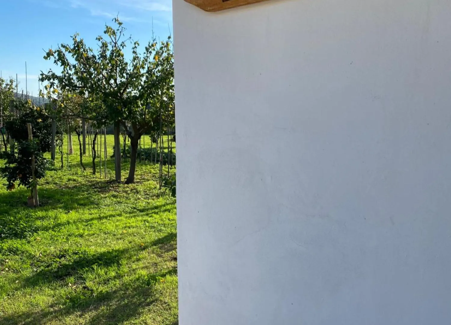 La Tenuta Di Eva Pisa