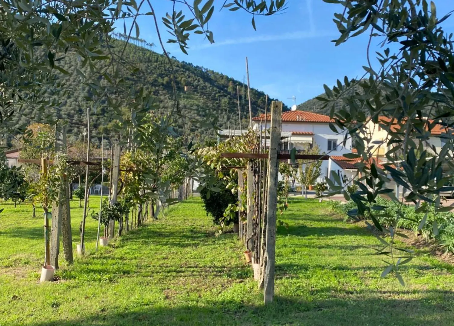 La Tenuta Di Eva Pisa Apartment