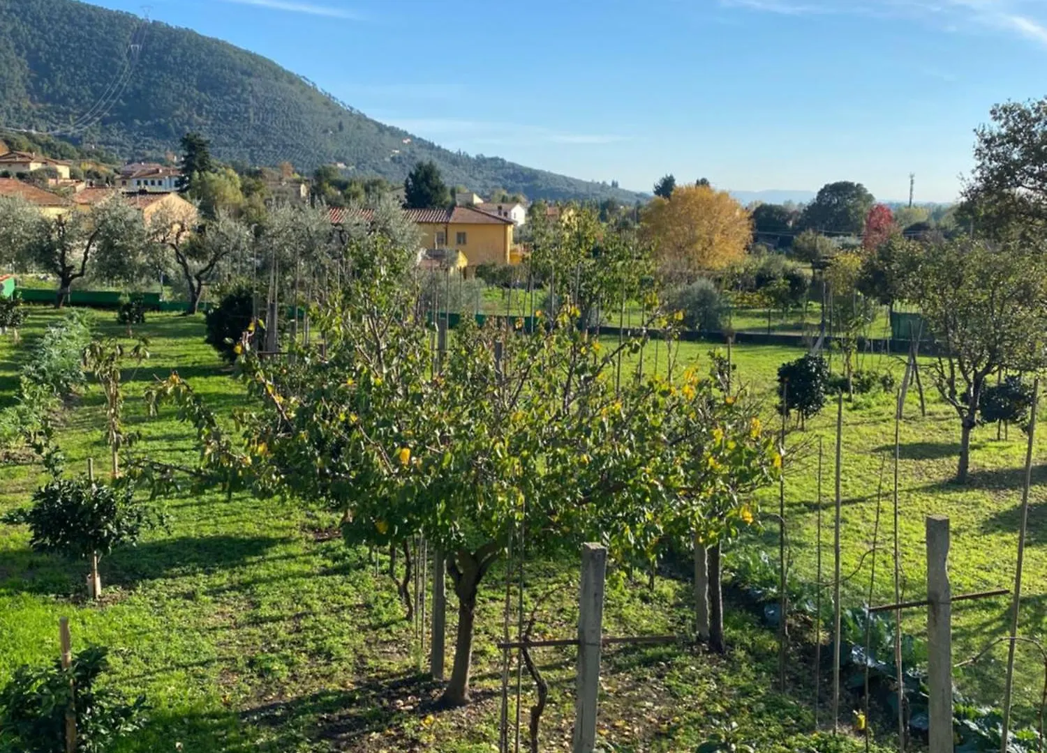 La Tenuta Di Eva Pisa Italy