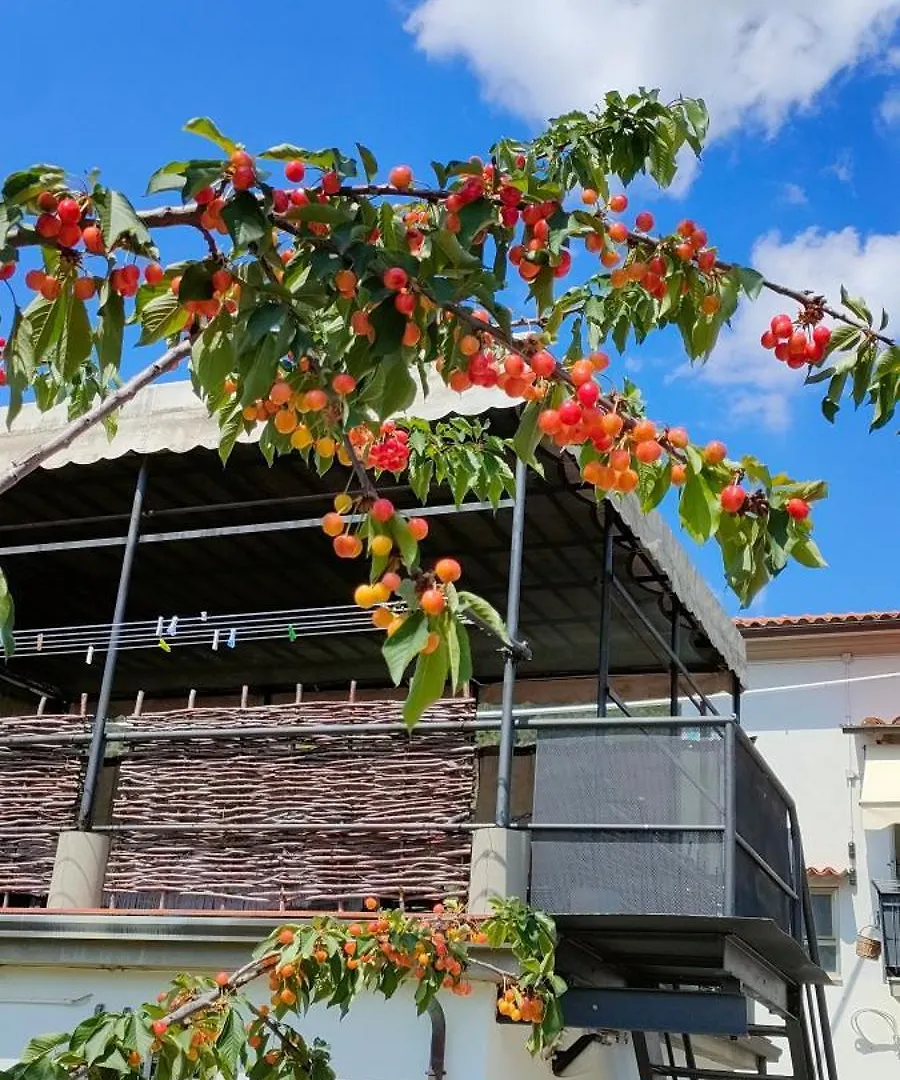 La Tenuta Di Eva Pisa Appartamento