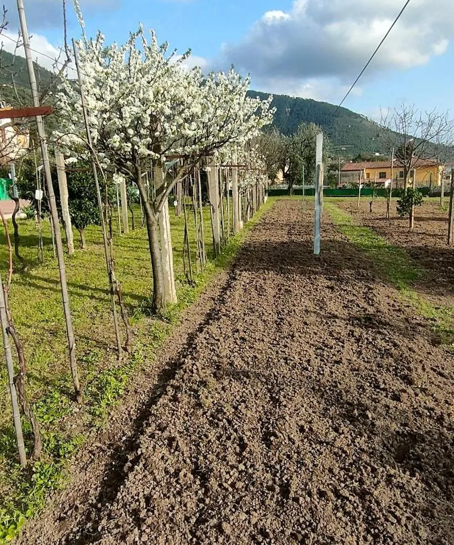 Appartamento La Tenuta Di Eva Pisa