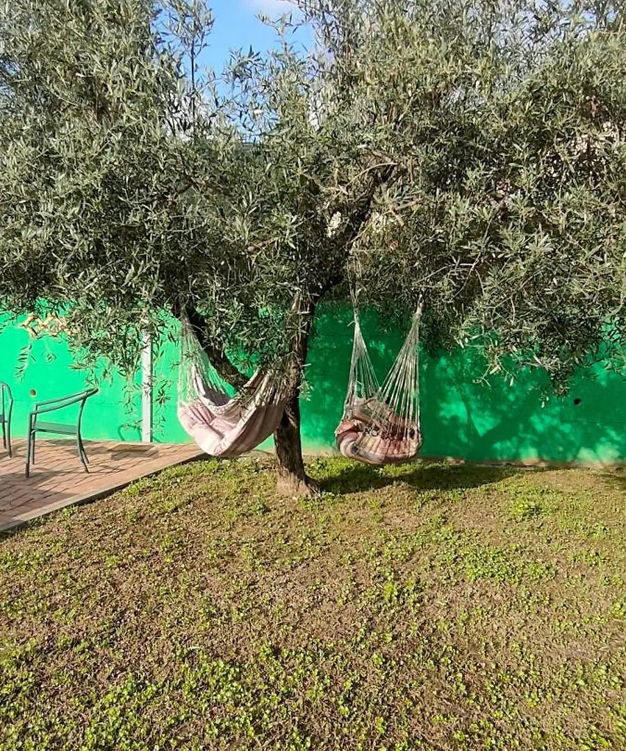 La Tenuta Di Eva Pisa Italia