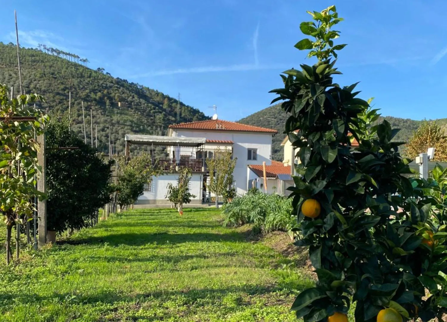 La Tenuta Di Eva Pisa